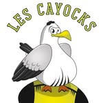 Les Cayocks